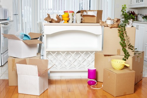 Efficient Belgravia man and van relocation with careful delivery